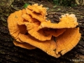 P9300159