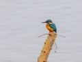 B030012